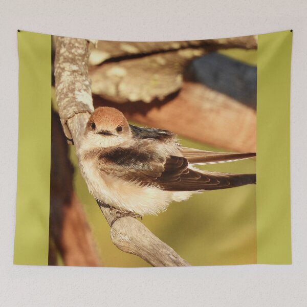 Item preview, strange look from a Fairy Martin  designed and sold by Mark Grimsley.