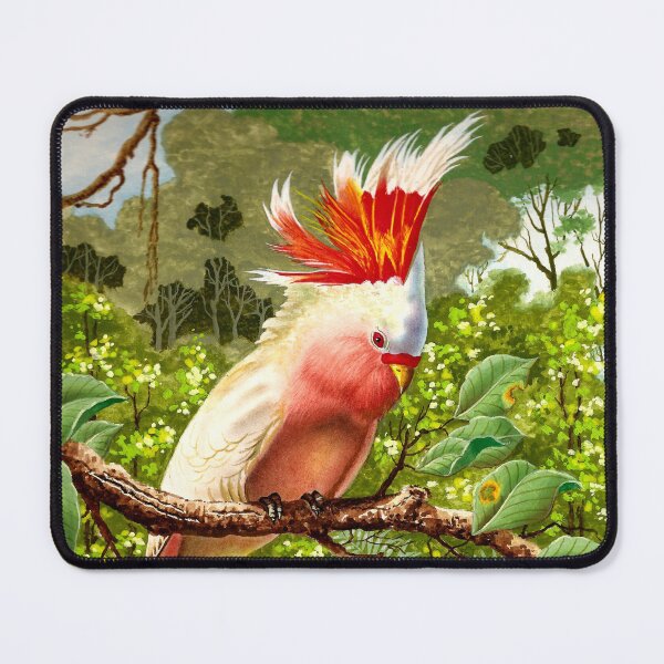Item preview, tropical bird designed and sold by Laura Greco.