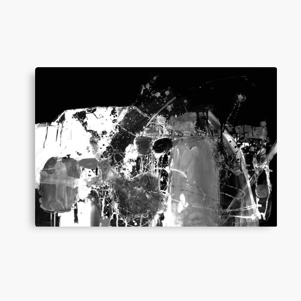 Spirit of the Valley 5. Canvas Print