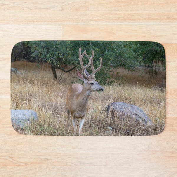 Item preview, Oh, Deer with Antlers designed and sold by SafariByMarisa.
