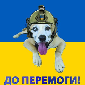 "ДО ПЕРЕМОГИ!" Sticker for Sale by T-shirtsMZH | Redbubble