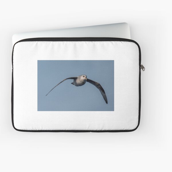 Item preview, Arctic Fulmar #3 designed and sold by Jan Fijolek.