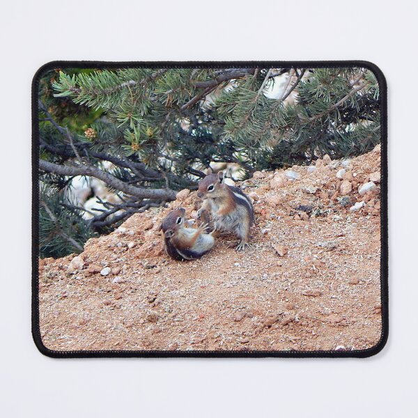 Item preview, Golden - manteled Ground Squirrels playing in Bryce Canyon National Park designed and sold by gistinker.