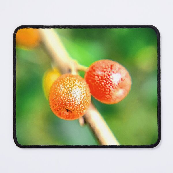 Item preview, Macro twig and berries designed and sold by ArztNacht.