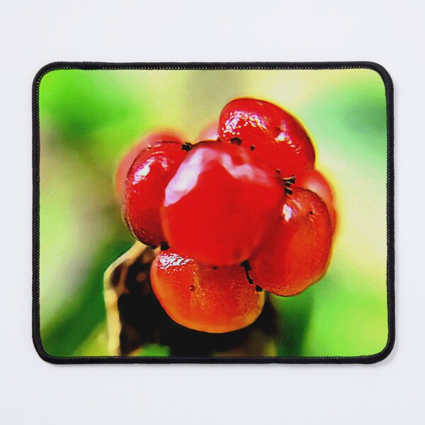 Item preview, Blackberry bloom  designed and sold by ArztNacht.