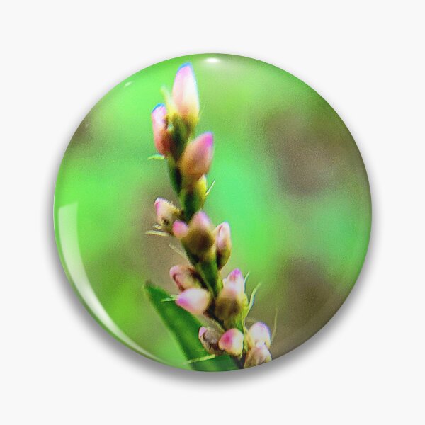 Item preview, Macro blooms in pink designed and sold by ArztNacht.
