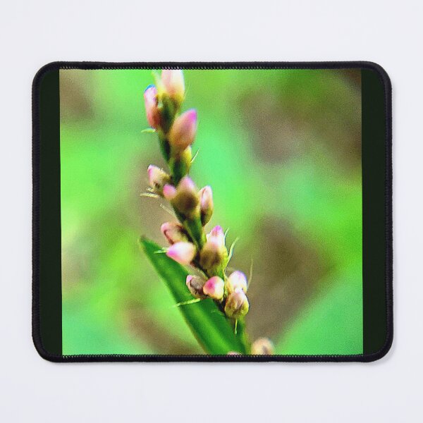 Item preview, Macro blooms in pink designed and sold by ArztNacht.