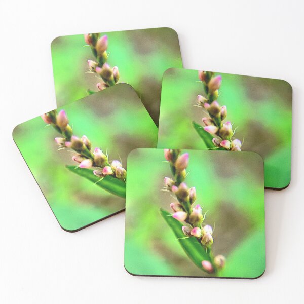 Item preview, Macro blooms in pink designed and sold by ArztNacht.