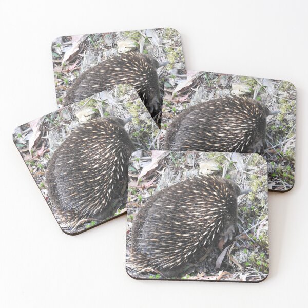 Item preview, echidna an Australian mammal  designed and sold by Debsgiftware Ward.