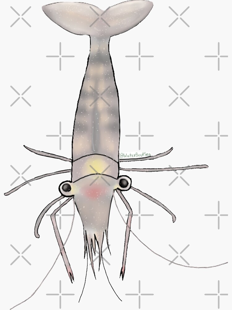Grass Shrimp | Sticker