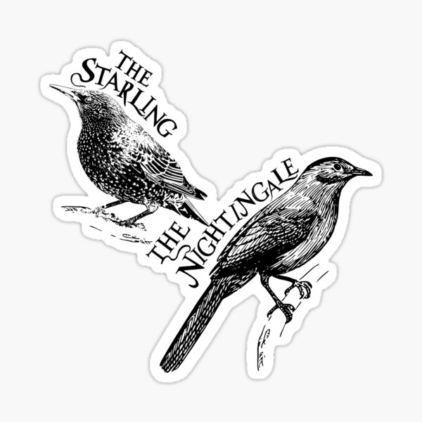 Nightingale by James #stl #stltattoo #stlouis #stlouistattoo  #stlouistattoocompany #tattoocompany #tattoos #birdtattoo  #blackandgreytatto... | Instagram