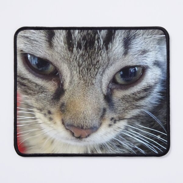 Item preview, The young cat - 2 designed and sold by walterfest.