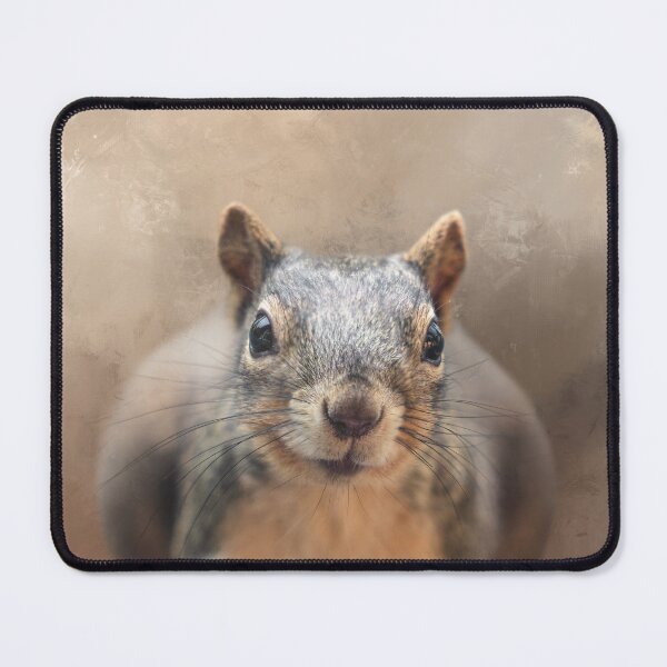 Item preview, Chubby Squirrel 01 designed and sold by Elisabeth Lucas.