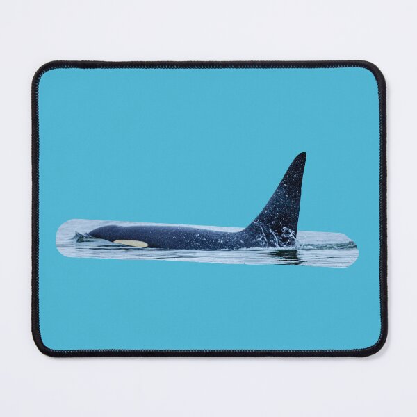 Item preview, Male Orca dorsal fin designed and sold by Dalyndigital Photography.