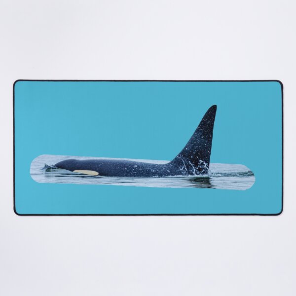 Item preview, Male Orca dorsal fin designed and sold by Dalyndigital Photography.