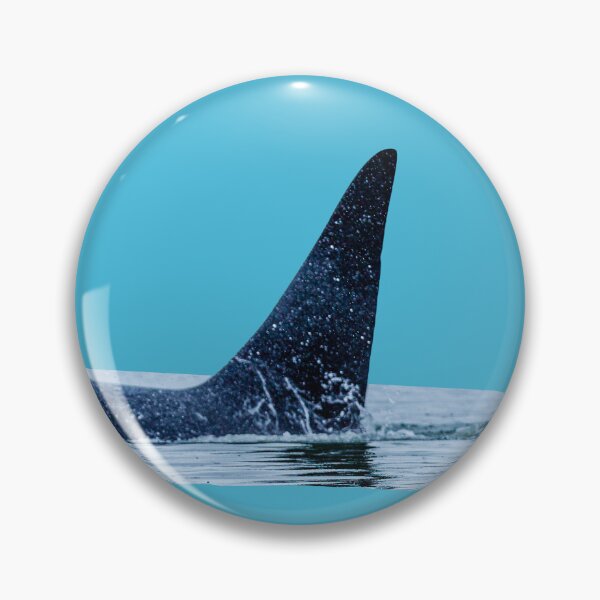 Item preview, Male Orca dorsal fin designed and sold by Dalyndigital Photography.