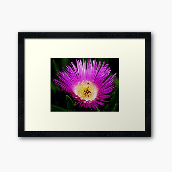 Climb in Framed Art Print