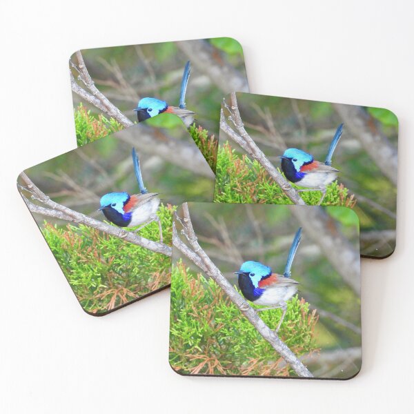 Item preview, Colourful Fairy wren  designed and sold by Mark Grimsley.