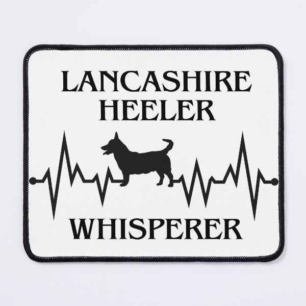 Item preview, Lancashire Heeler Whisperer - Heartbeat of England's Beloved Dog designed and sold by kcaandwu.