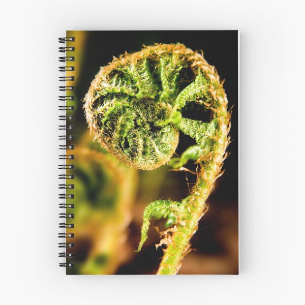 Item preview, Bracken designed and sold by MadameCat-Art.