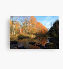 Autumn Brook Reflections - Nova Scotia Canada Canvas Print