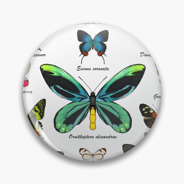 Item preview, Butterflies of the world designed and sold by Cendino.