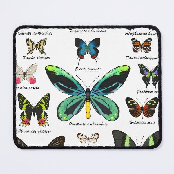 Item preview, Butterflies of the world designed and sold by Cendino.