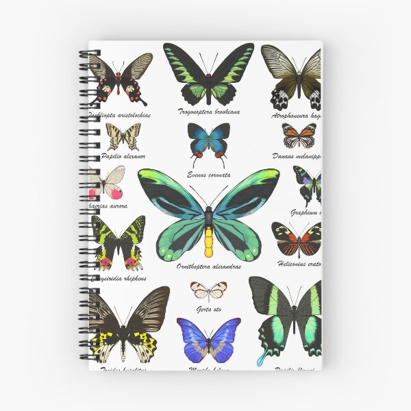 Item preview, Butterflies of the world designed and sold by Cendino.