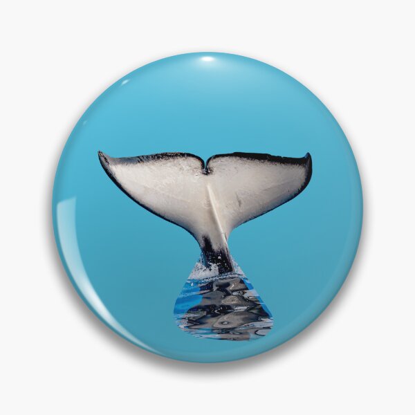 Item preview, Orca's Tail designed and sold by Dalyndigital Photography.