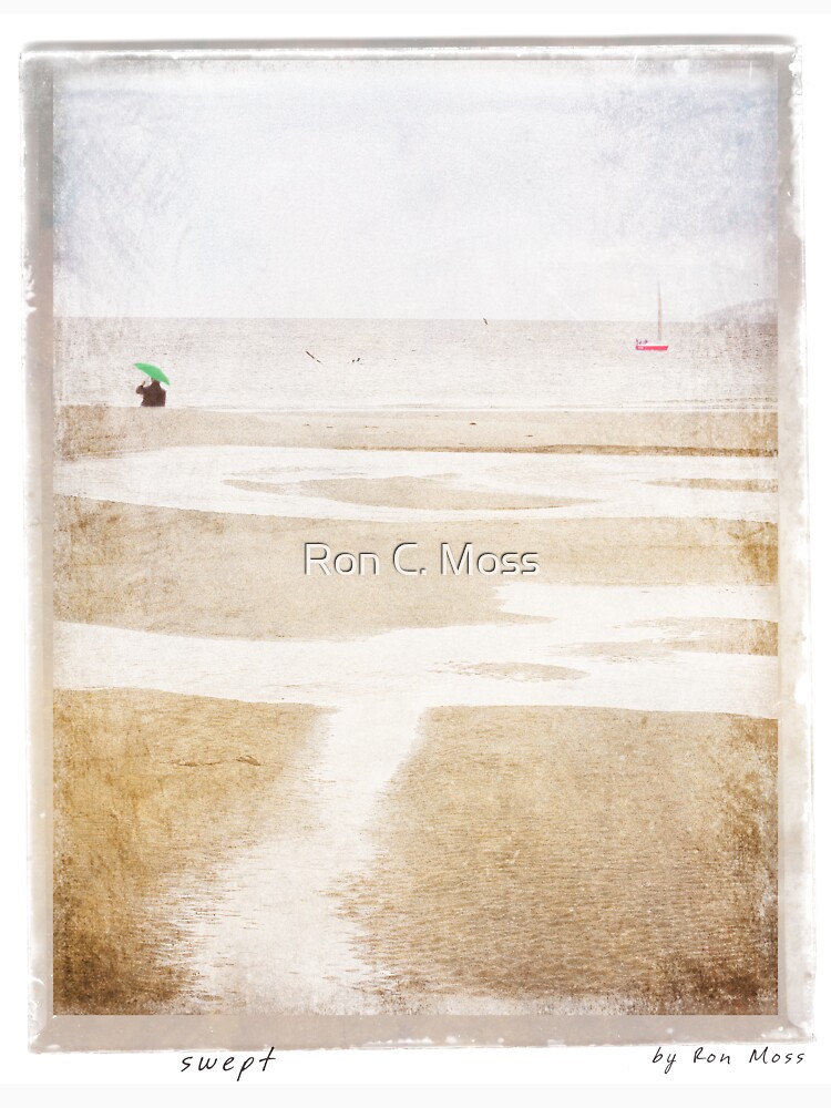 s w e p t by ronmoss