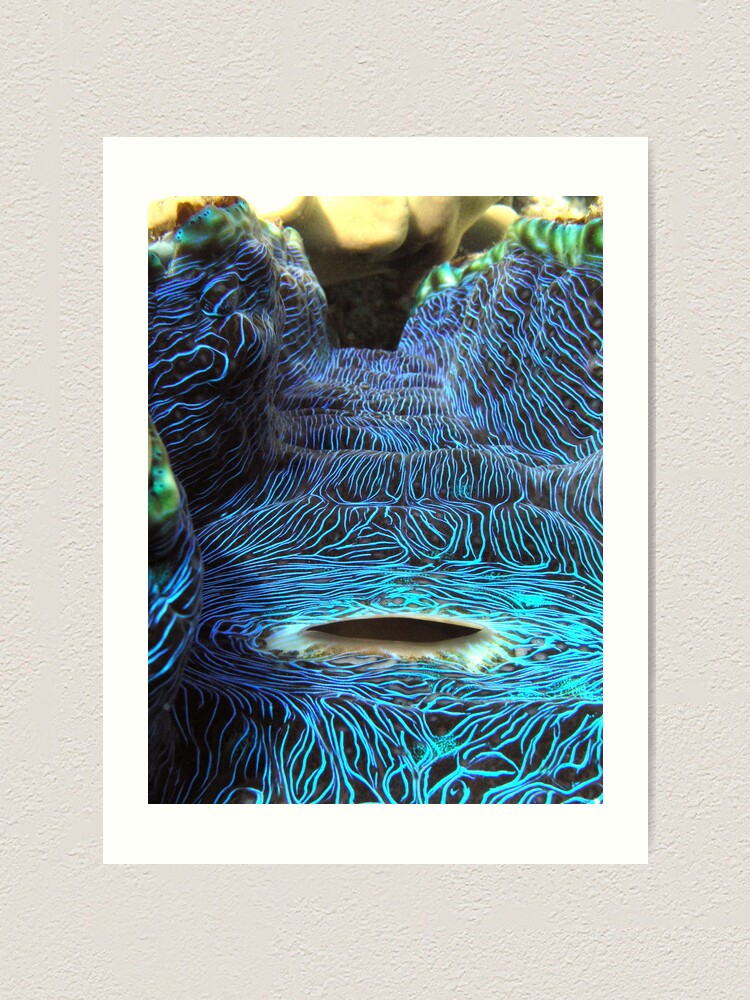 Alternate view of Derasa Whirlpool Art Print