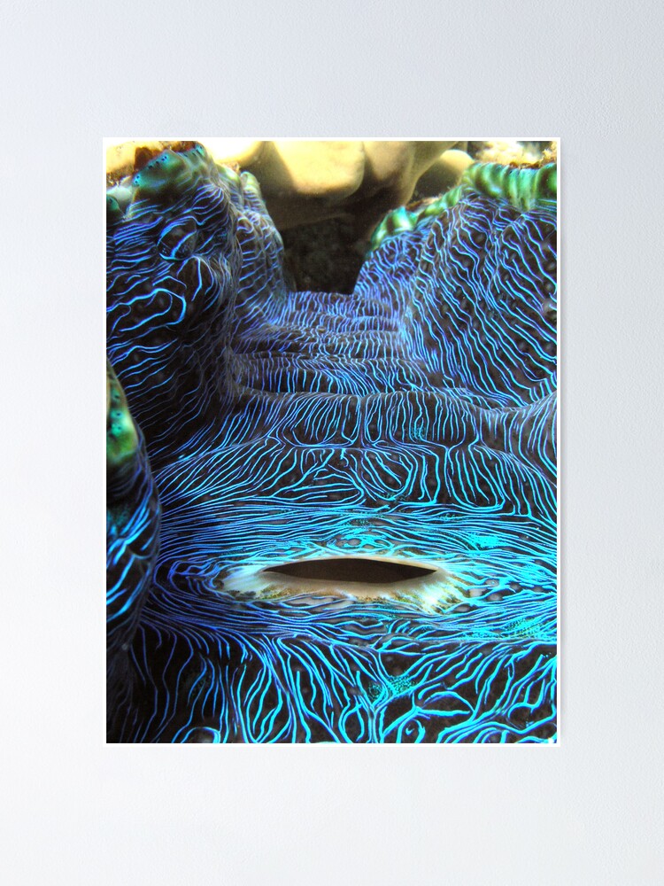 Alternate view of Derasa Whirlpool Poster