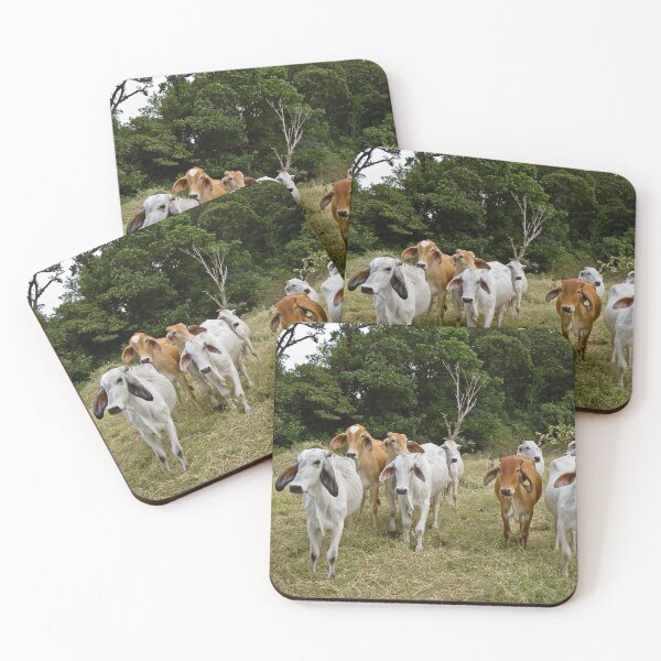 Item preview, Brahman cattle designed and sold by lghtwrkr.