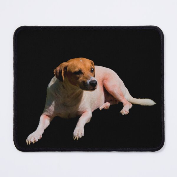 Item preview, Another Very Special Pet designed and sold by alabca.