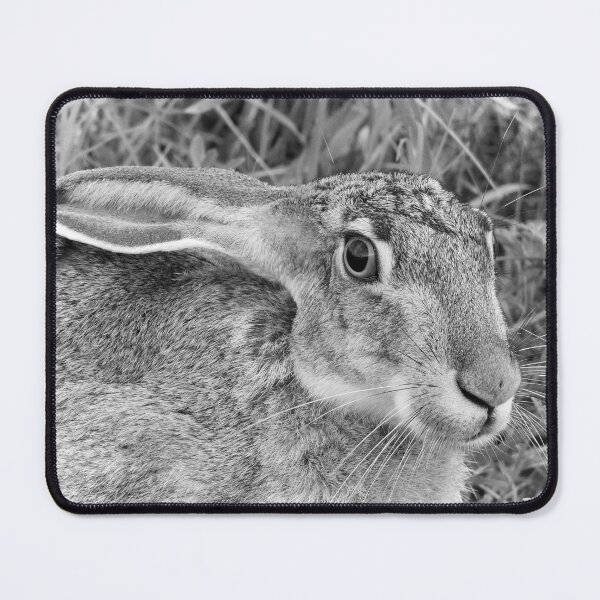 Item preview, Black-tailed Jackrabbit designed and sold by Paul-Prints.