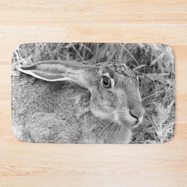 Item preview, Black-tailed Jackrabbit designed and sold by Paul-Prints.