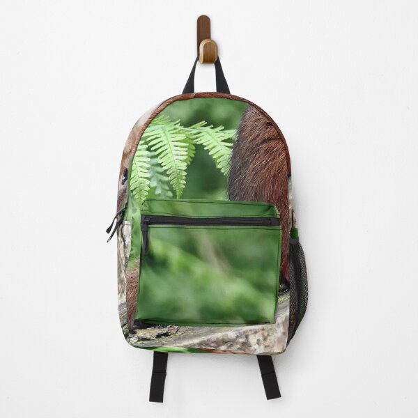Item preview, Scottish Red Squirrel designed and sold by Tom McPherson Photography.