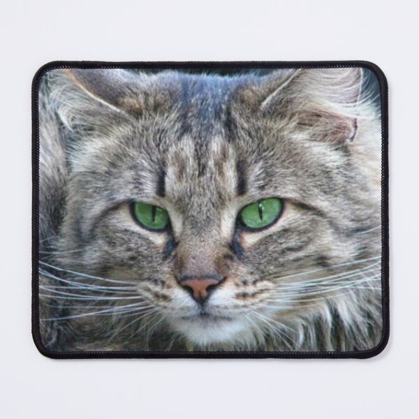 Item preview, cat designed and sold by Sandy-shops.