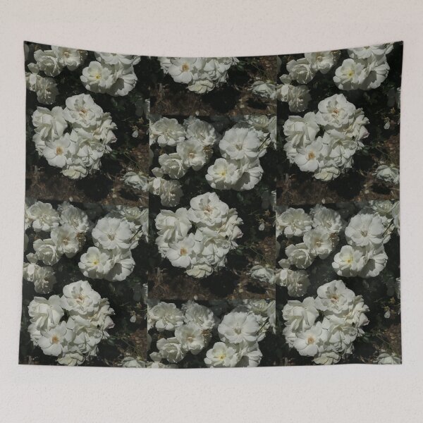 Item preview, Nature, flower, roses, white, photography, BebiCervin designed and sold by BebiCervin.