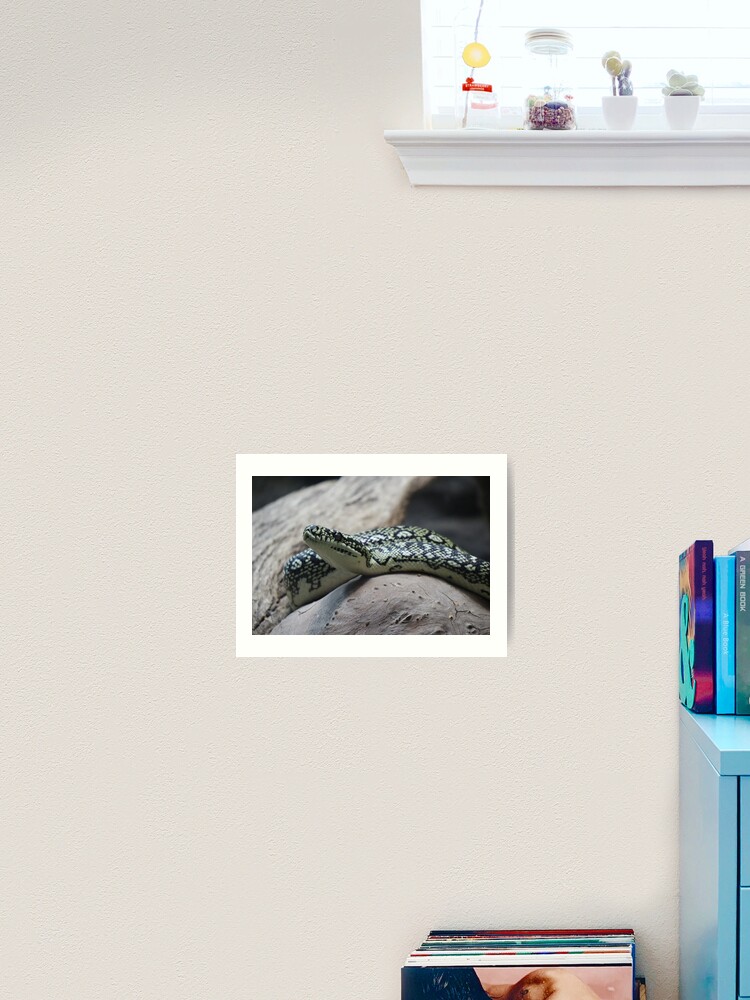 Thumbnail 2 von 3, Kunstdruck, Teppichpython designt und verkauft von FallenTrickster.