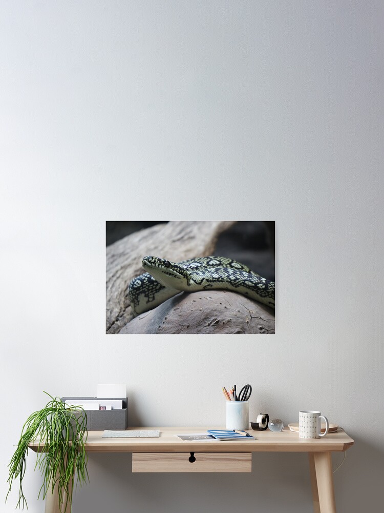 Aperçu 2 sur 3. Poster avec l'œuvre Tapis python créée et vendue par FallenTrickster.