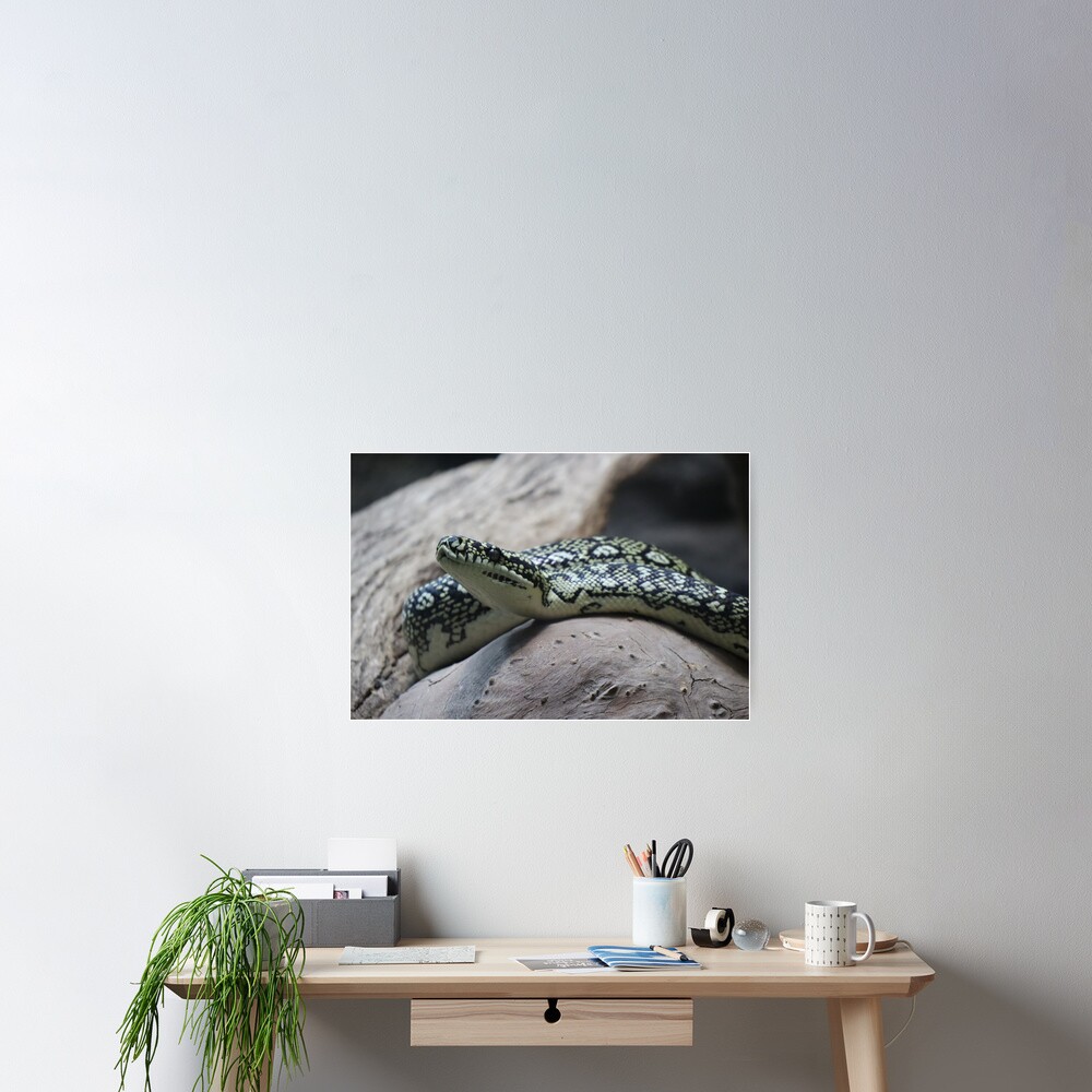 Item preview, Poster designed and sold by FallenTrickster.