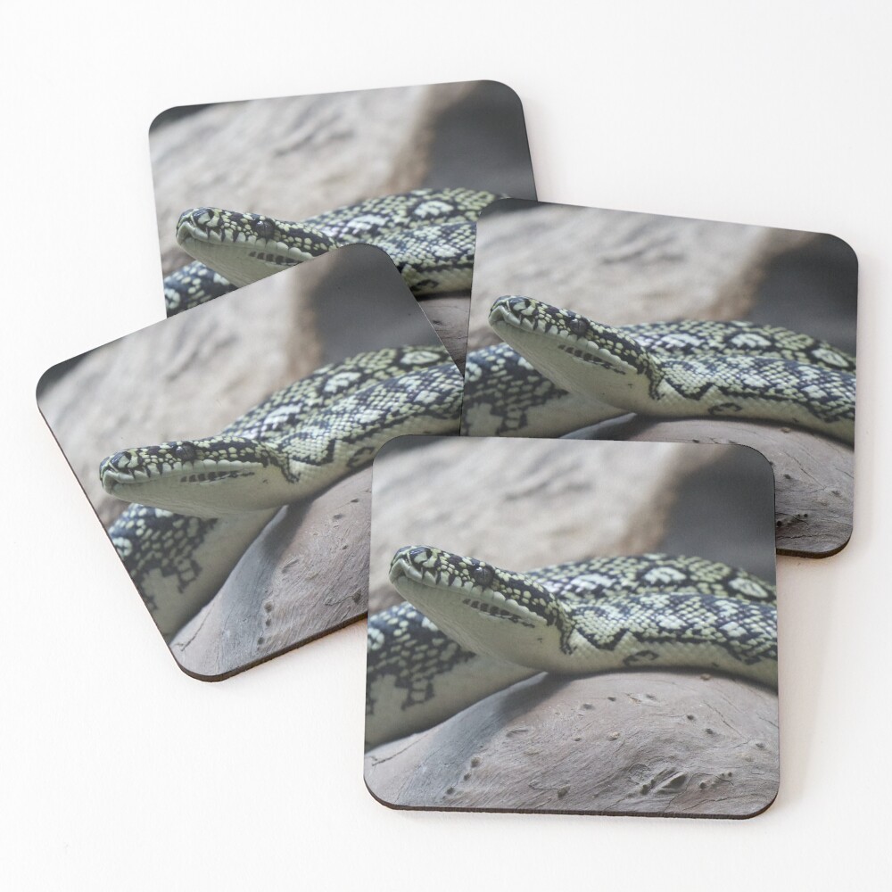 Item preview, Coasters (Set of 4) designed and sold by FallenTrickster.