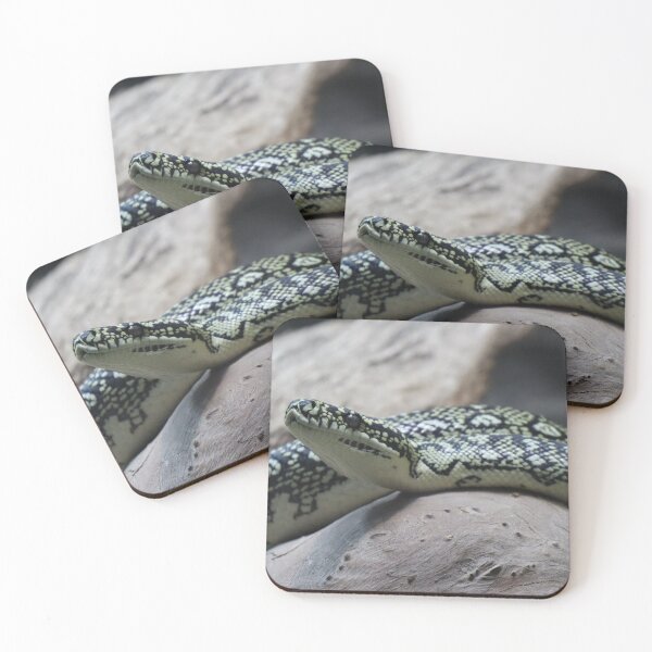 Item preview, Carpet python designed and sold by FallenTrickster.