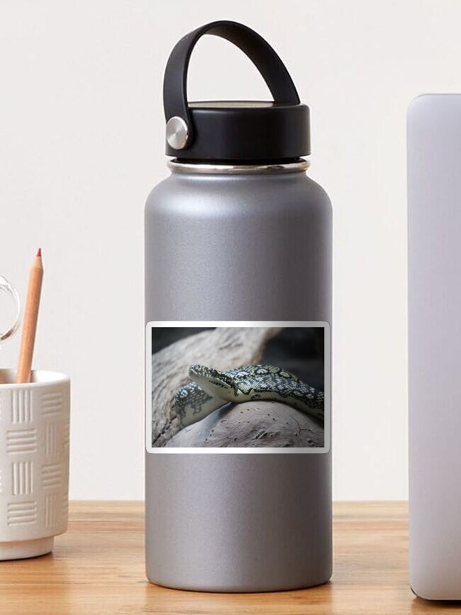 Thumbnail 1 of 3, Sticker, Carpet python designed and sold by FallenTrickster.