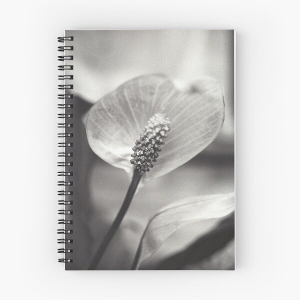 Item preview, Peace Lily designed and sold by GillianTapping.