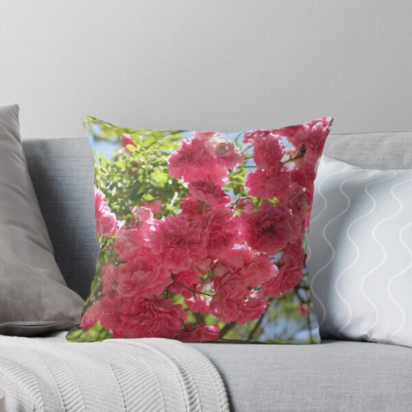 Item preview, Nature, flower, roses, pink, shrub, photography, BebiCervin designed and sold by BebiCervin.
