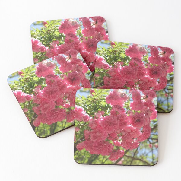 Item preview, Nature, flower, roses, pink, shrub, photography, BebiCervin designed and sold by BebiCervin.