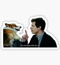 Brooklyn Nine Nine Sticker