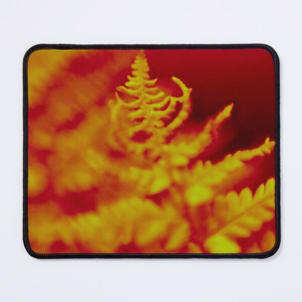 Item preview, Orange Fern  designed and sold by GillianTapping.